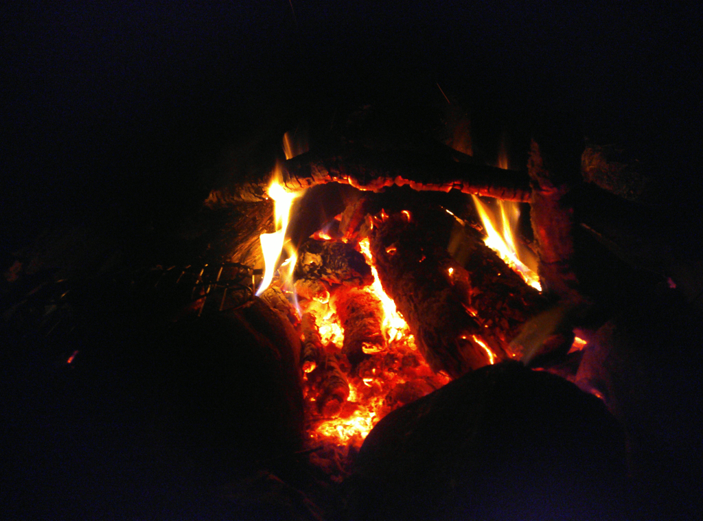 Bild/Foto