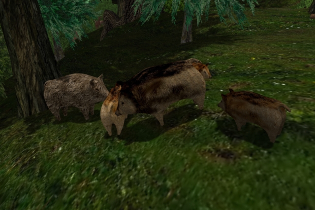 Digital rendering of two adult wild pigs with three piglets, all static dummies, in a forest area. The picture was taken in the forestal northern parts of Nihilon in Dorenas World, a virtual world, also called a grid, based on OpenSimulator, a free and open-source re-implementation of Second Life. In the foreground to the left, there is a tall conifer. Behind it and at the same distance from the on-looker above the pigs, there are two smaller ones. In the background, between the two smaller conifers, the trunk of a big oak tree can be seen with three deer another bit further in the distance. The ground is a mostly grassy texture with a few white and yellow flowers on it. It is rising moderately towards the upper right corner and getting steeper towards the left and the foreground. The sun is shining down straight from above. The wild pigs being referred to as lions is a play on a recent situation in Kleinmachnow south of Berlin in Germany which has gone memetic twice over: On July 20th, early in the morning, reports of an escaped lioness having been sighted put the authorities on high alert. The next day, the alleged lioness turned out to be a wild boar.