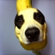 bananamangodog