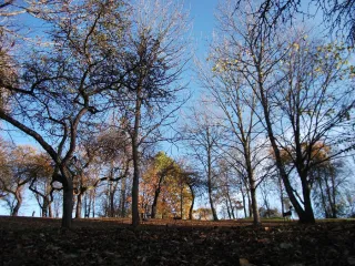 photo/7a2e0d81-3c80-42cd-9a57-4c957687a4ba-3