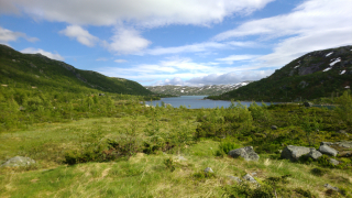 photo/7eee9811-7280-40ce-9028-7eb2ad67e035-3