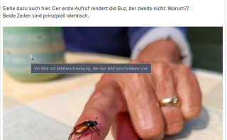Foto ansehen Pepes pic