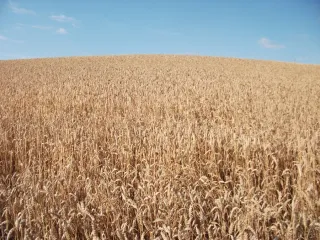 photo/83d28d95-0a45-423a-bbde-b50a4715d1e6-3