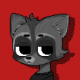 Tomazini :raccoonrol