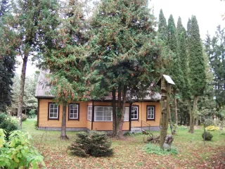 photo/8ab28b91-d914-4984-9d46-e7f67a694527-3