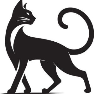 𝗖 𝗔 𝗧