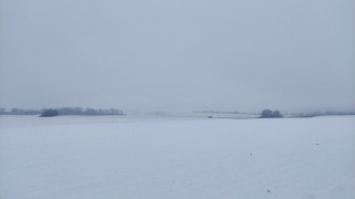 photo/8ce765b6-05ae-4cbc-ac7c-78cd7d8c829f-3