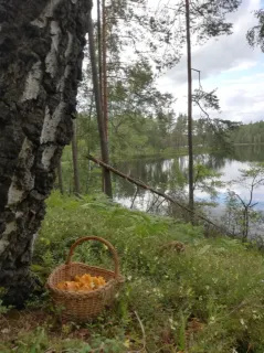 photo/8f436bc9-139e-4536-b326-b83a5a052ac0-3