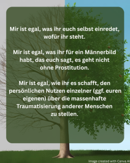 photo/9392e2f8-0b8f-4060-a722-f561f9cd48c9-3