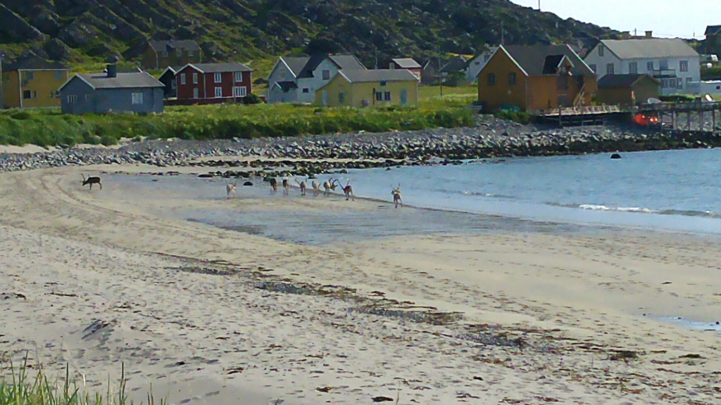 Bild/Foto