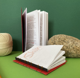 photo/98e3801e-b556-4e49-93f5-0397126c32f8-3