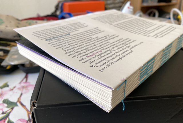 Bujo1.png Bujo1.png