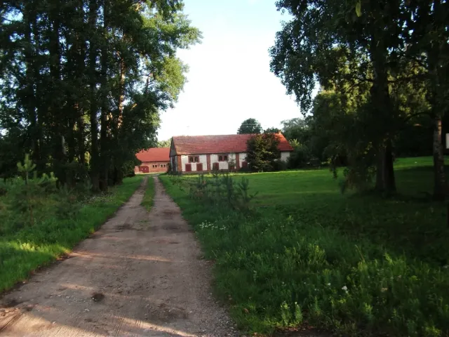 DSCF3988.webp