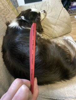 photo/9bad6392-438a-4230-bbab-3c0aa6d2fa2e-3