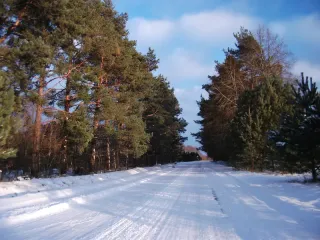 photo/9ce09739-caa8-4086-967a-365a2f595c3b-3