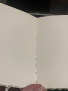 photo/9ce5c387-d813-4290-9e26-0348b207a4fd-3