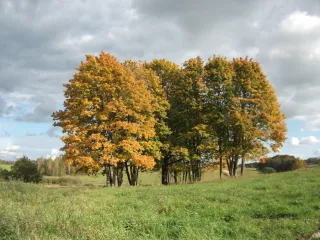 Vojaĝoj