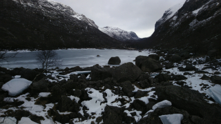 photo/9d81a321-c6e2-4f39-93b0-e9261ea42952-3