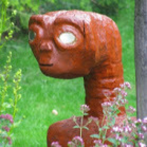 Uwe