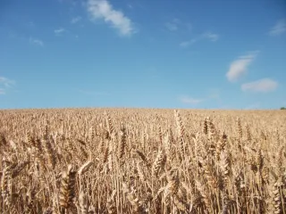 photo/9e0840e2-0832-46e9-9cf1-39241f10537d-3