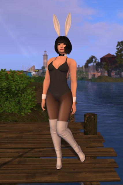 Self-portrait in a bunny outfit, consisting of white bunny ears, a white collar with a black bowtie, white cuffs, a black one-piece bathing-suit, black sheer tights and white over-knee boots; the blurry background shows parts of Dorena's World