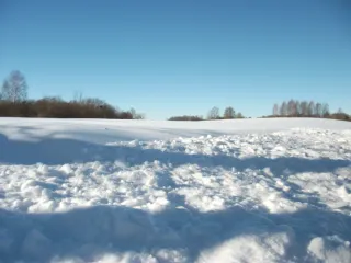 photo/a21fb661-b772-41ba-a95f-c51cbb50ce23-3