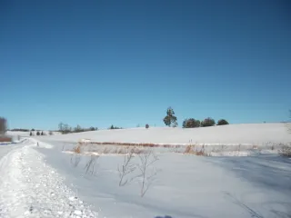 photo/acd60b10-ad2d-465e-94a4-a93bd3b949b3-3