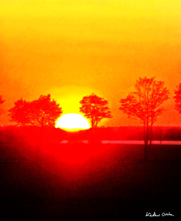 photo/acd6d180-3916-4db1-9a91-46e814e59cf4-3