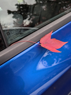 photo/aee916db-18ad-46b8-89ae-cb698546c12d-3