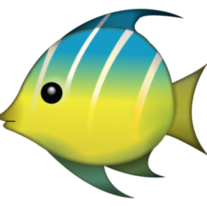 fischli