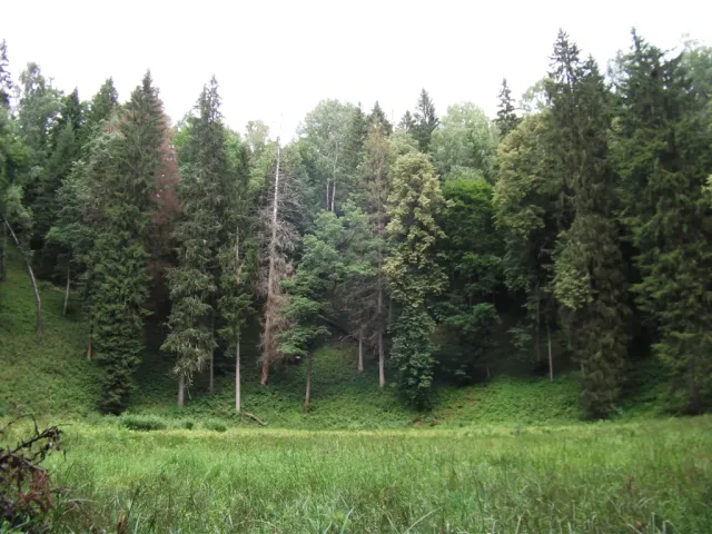 DSCF3969.webp