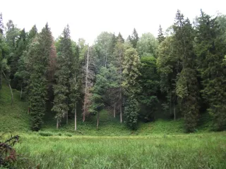 Velnio duobė