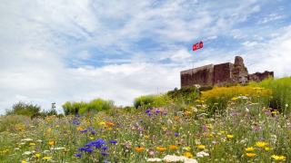 Photos de couverture