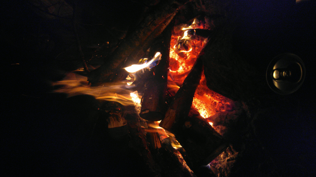 Bild/Foto