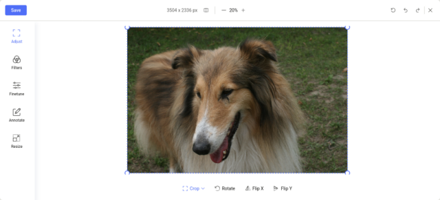fotos10.png