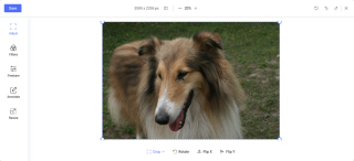fotos10.png
