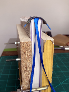 BuJo3.png