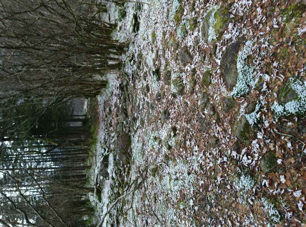 Bild/Foto