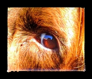 photo/b77572d0-1230-470a-89b4-e25324707a1e-3