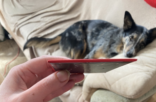 photo/b8735441-9774-4d01-9630-4cdabebbeca3-3