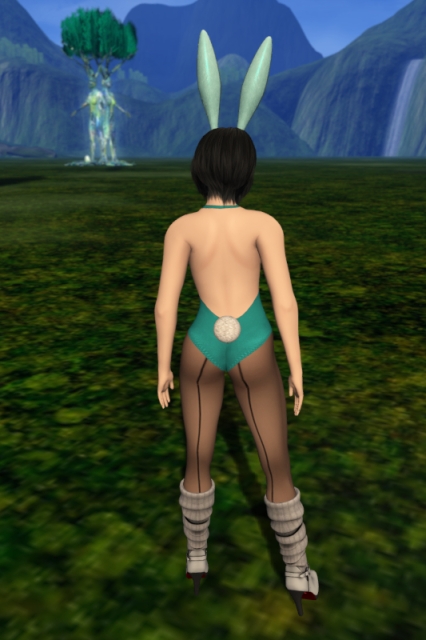 The same setting as the other image, but I've turned around so I'm shown from behind, revealing the bunny tail and the seams on my tights.