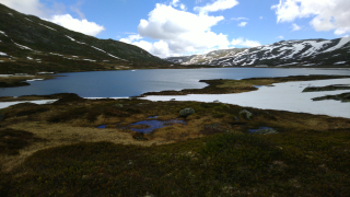 photo/be859814-fced-4d04-b8ce-39f87bd08564-3
