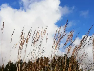 photo/c65f71ac-717d-4334-ab7f-575acfbdbfc1-3