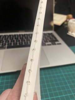 photo/d90b3f36-658e-4ba6-b489-1a4d87cd5c7f-3