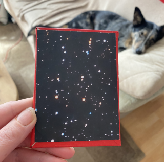 photo/d9e87df3-acf4-4ea7-a9a2-f32acda16172-3