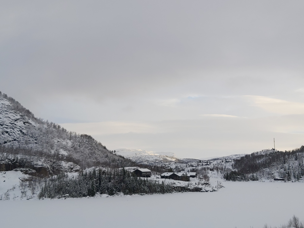 Bild/Foto