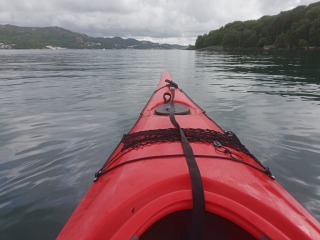 IMG_20260605_173856.jpg