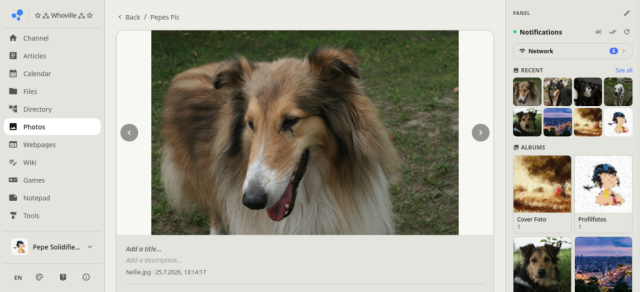 fotos07.png