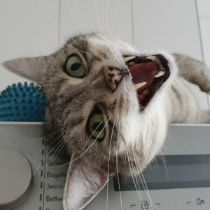 Anna Christina :verified_pink: