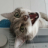 Anna Christina :verified_pink: